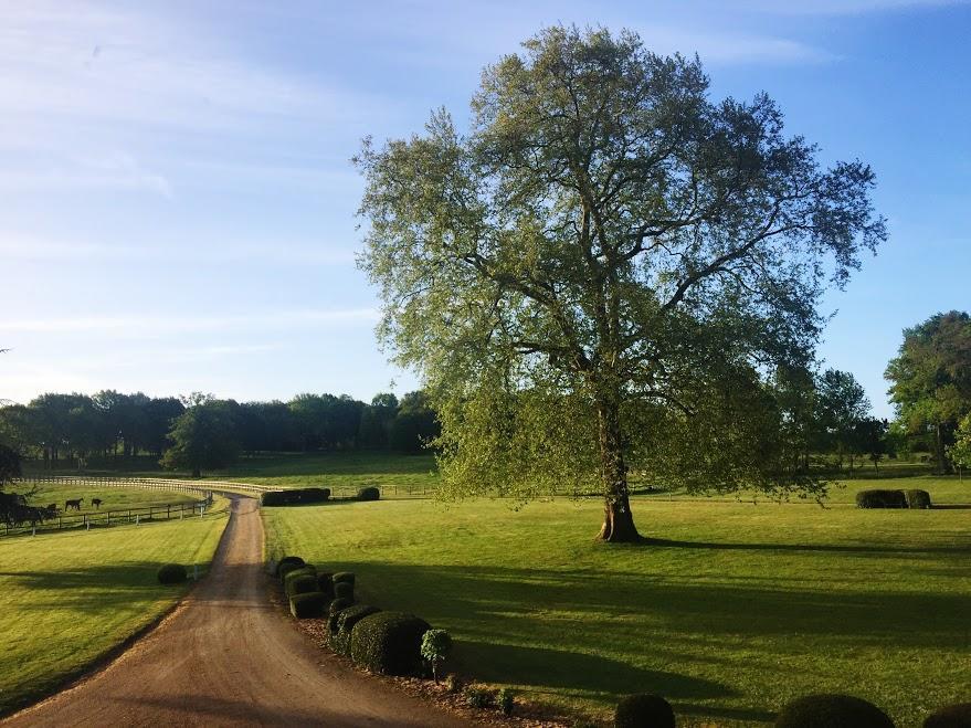 Hotel Haras De La Potardiere Crosmières Kültér fotó
