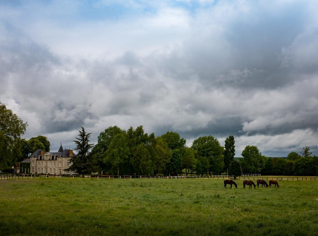 Hotel Haras De La Potardiere Crosmières Kültér fotó