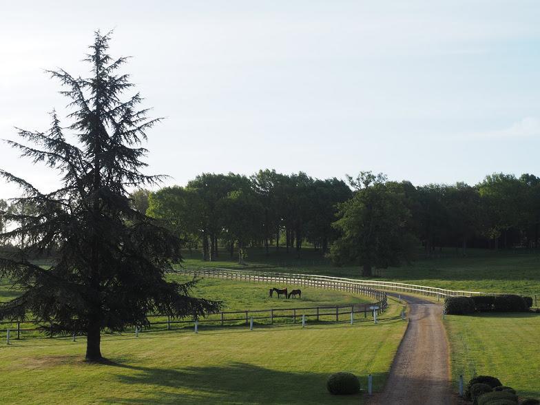 Hotel Haras De La Potardiere Crosmières Kültér fotó